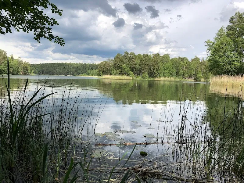 Rösjöskogens naturreservat nature preserve in Rotebro, Stockholm