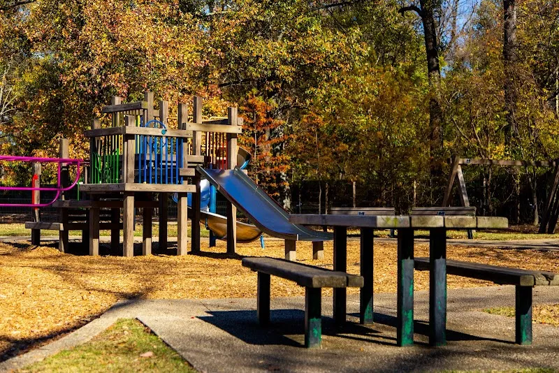 Rainbow Lake Playground playground in Midtown, TN