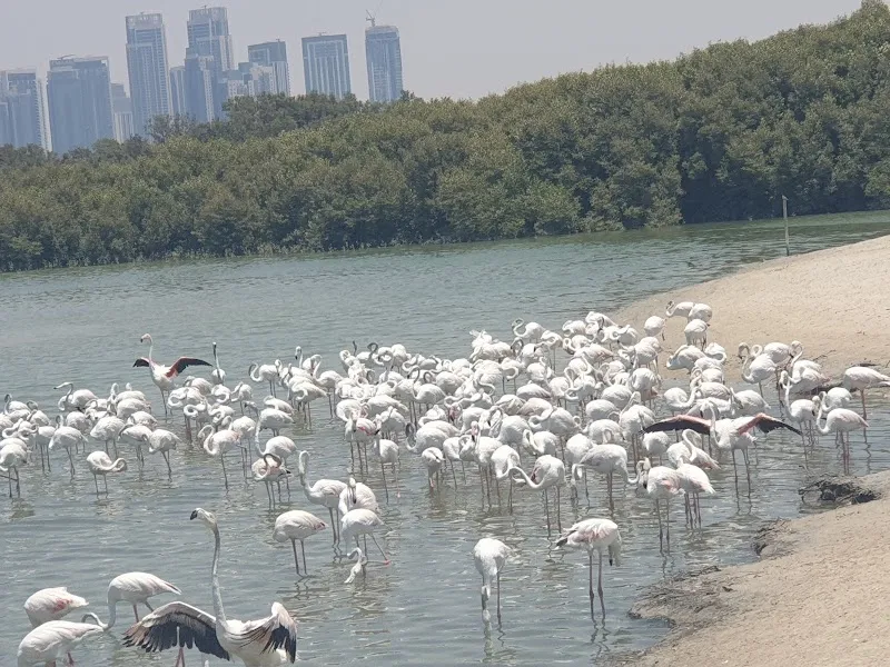 Ras Al Khor sublocality level 1 in Dubai, DXB