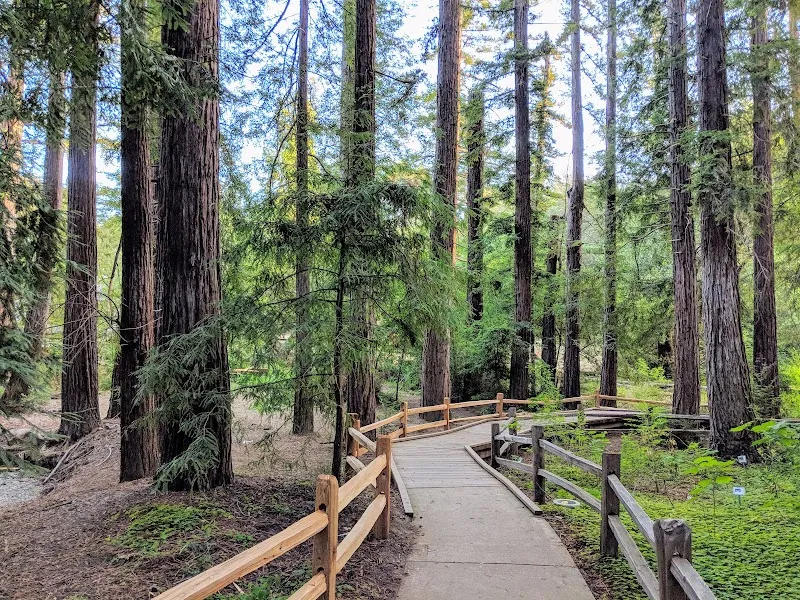 Redwood Grove Nature Preserve nature preserve in Los Altos, CA