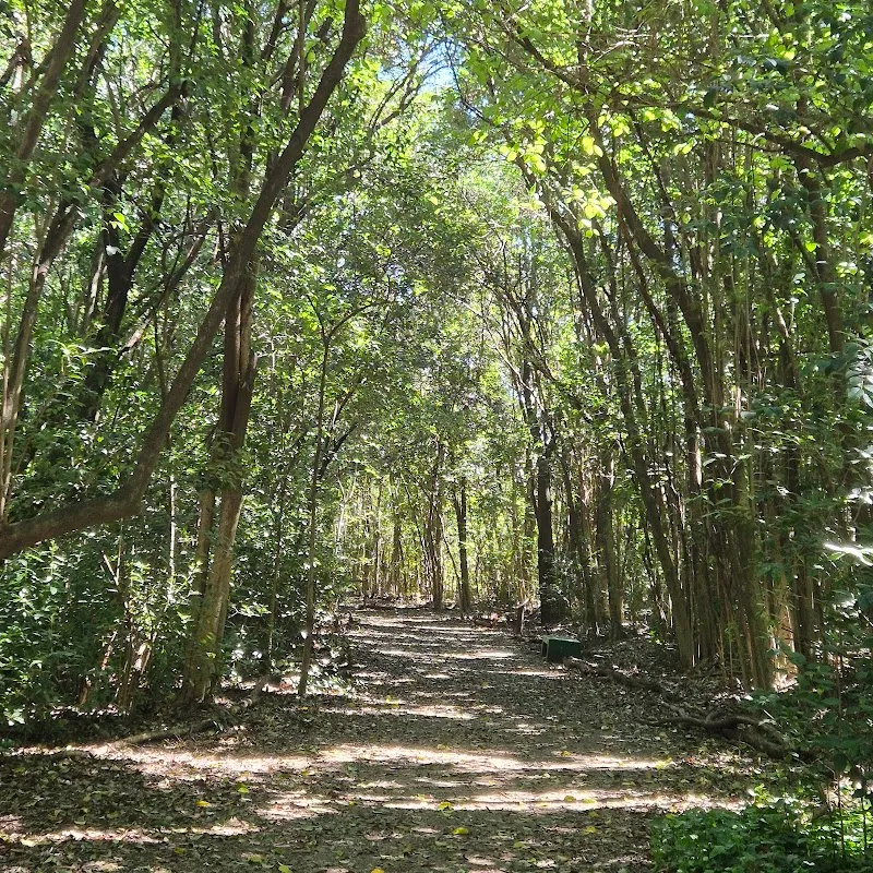 Reserva Natural Urbana de Morón nature preserve in Moron, BA