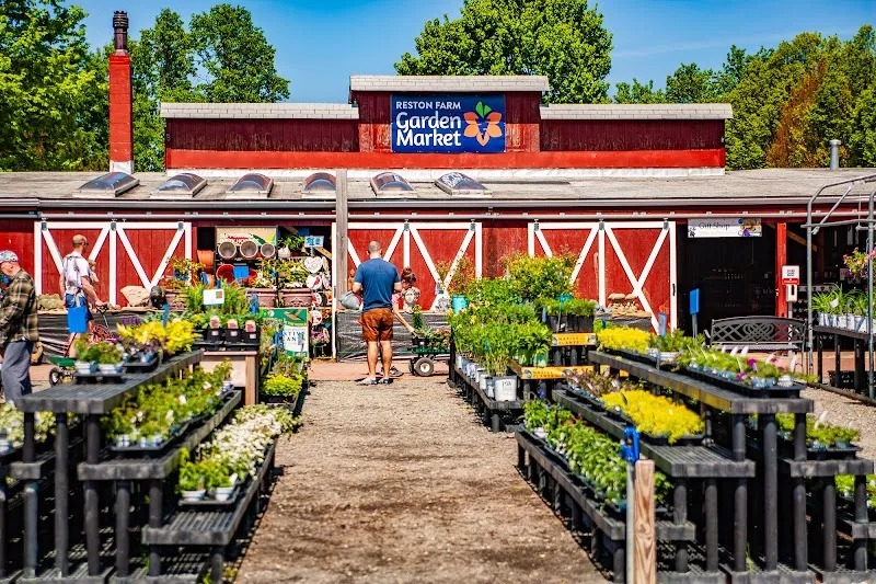 Reston Farm Garden Market garden center in Reston, VA