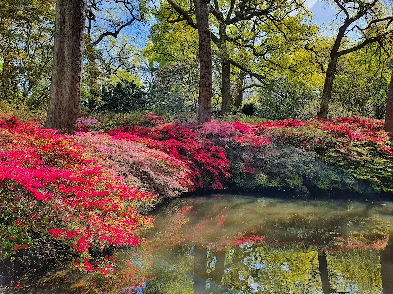 Richmond Park park in Richmond, London