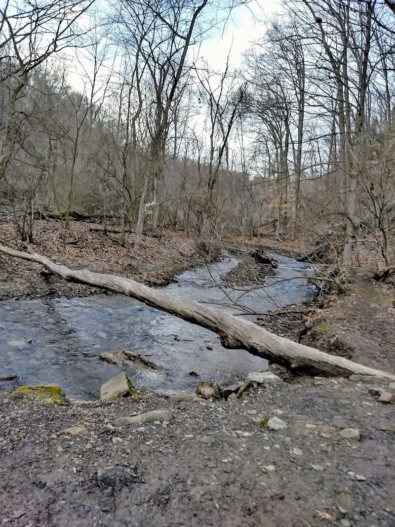 Riding Meadow Park park in Fox Chapel, PA