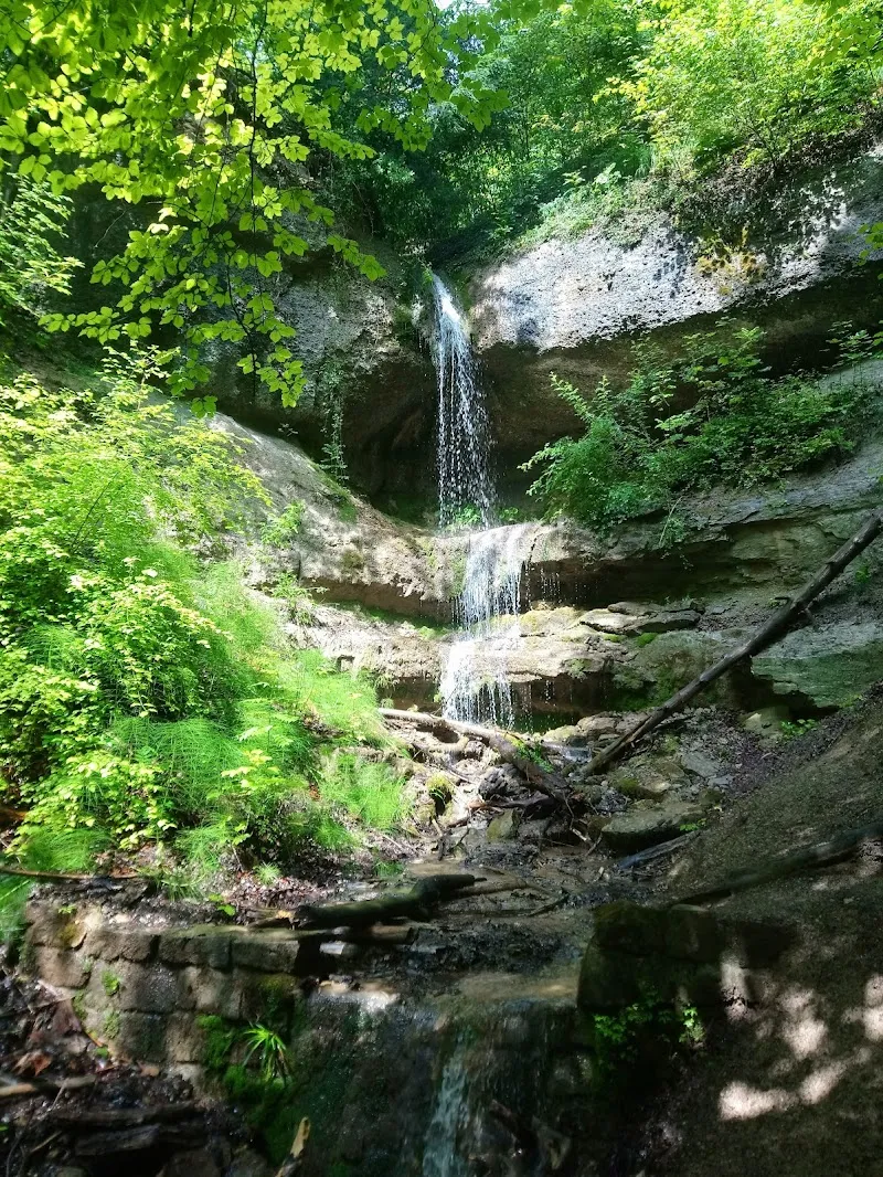 Risitobel Stäfa wildlife refuge in Stäfa, ZH