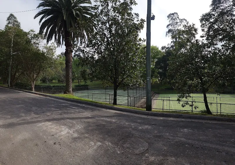 Robert Pymble Park Tennis Courts tennis court in Pymble, NSW