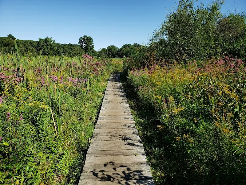 Rock Meadow Conservation Area park in Belmont, MA