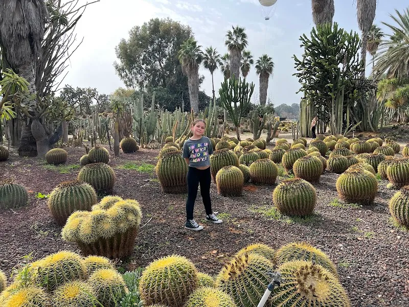 Rokefeller Garden garden in Tel Aviv, TA