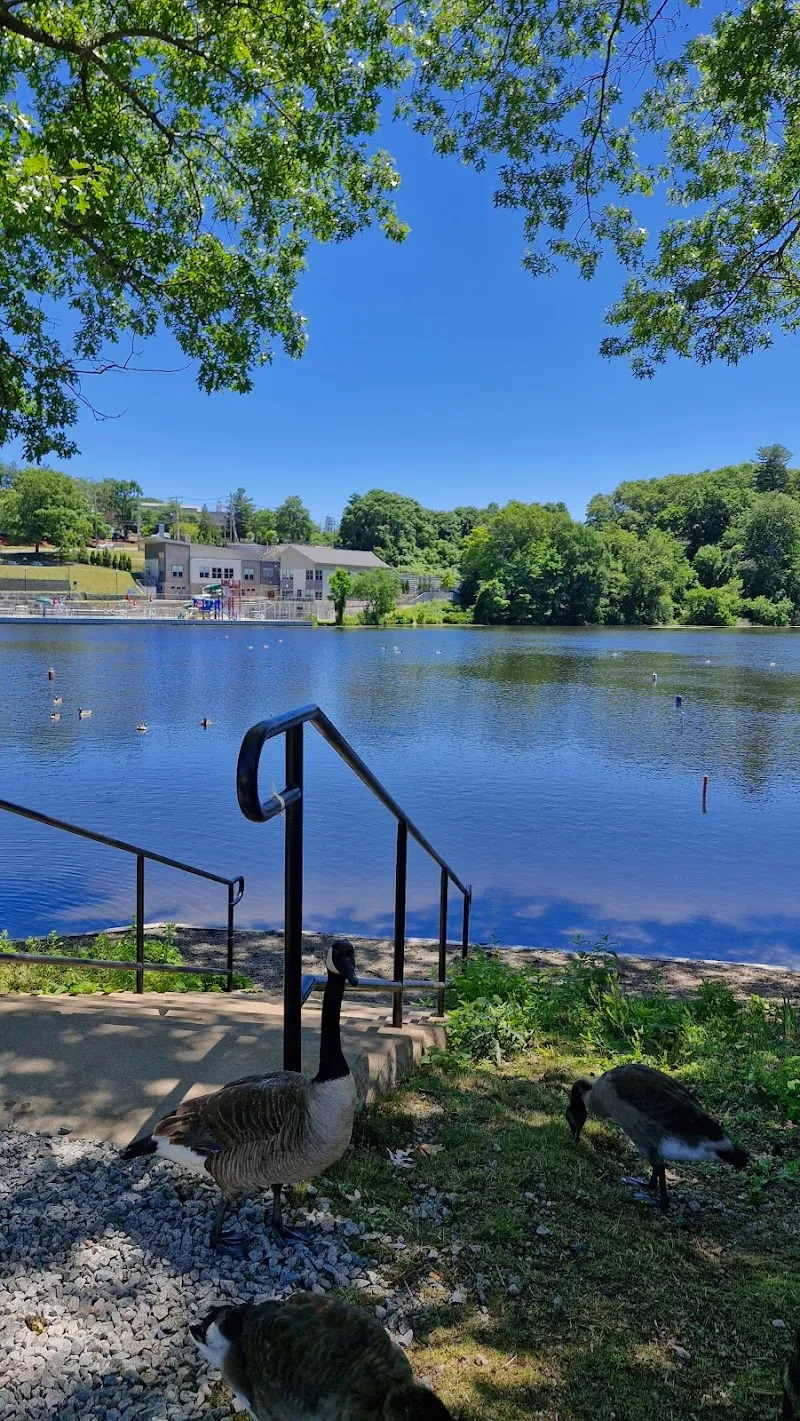 Rosemary Lake lake in Needham, MA