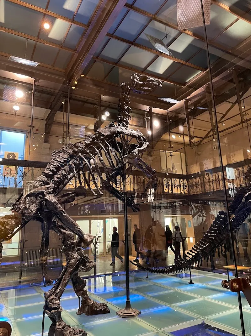 Royal Belgian institute of Natural Sciences museum in Brussels, BRU