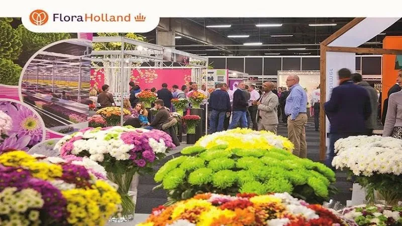 Royal FloraHolland Visitor Centre florist in Aalsmeer, NH