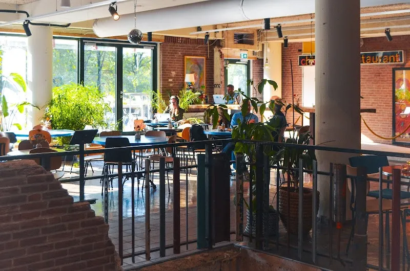 Roze Sneeuw in Bussum, NH