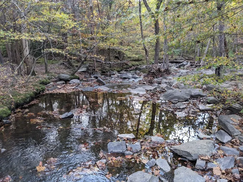 Runnymede Park park in Herndon, VA
