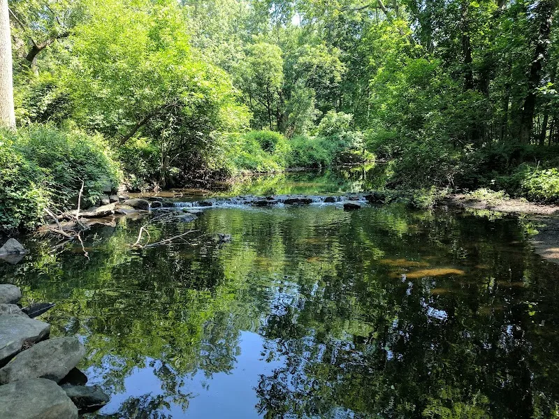 Rye Nature Center nature preserve in Rye, NY