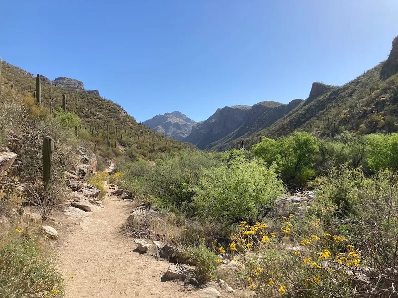 Sabino Canyon Recreation Area park in Tucson, AZ