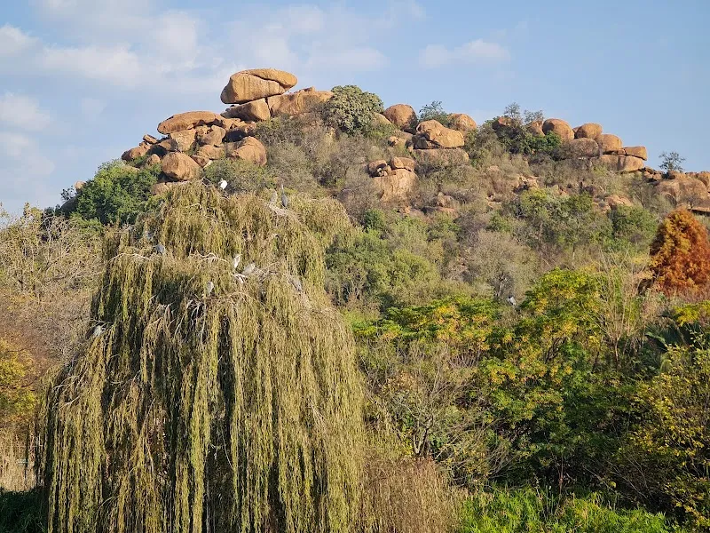 Sable Hills Nature Reserve Trail nature in Midrand, GP