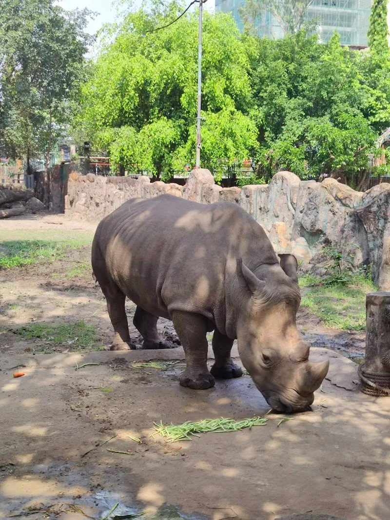 Saigon Zoo & Botanical Gardens zoo in Ho Chi Minh City, HCM