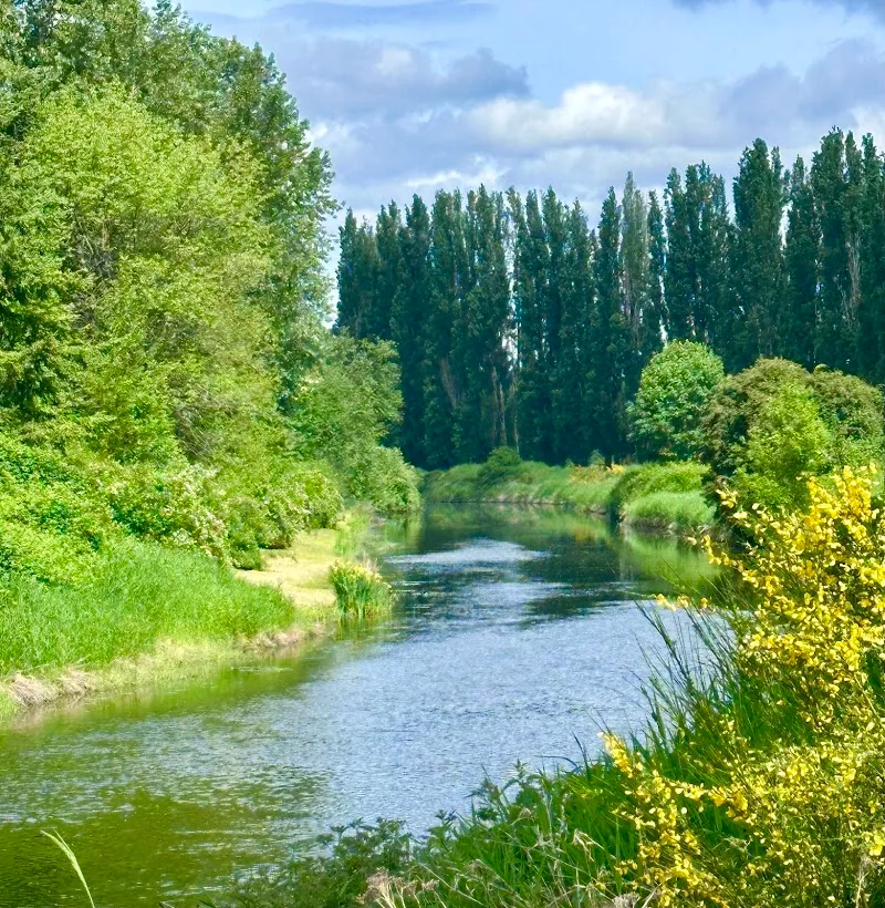 Sammamish River Trail route in Woodinville, WA