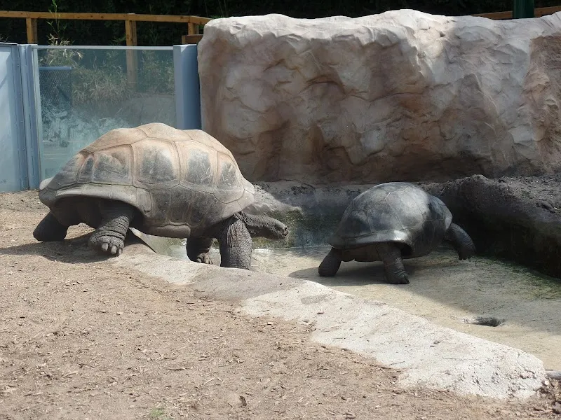San Antonio Zoo zoo in Terrell Hills, TX