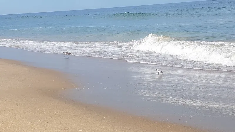 Sandbridge Beach colloquial area in Sandbridge, VA