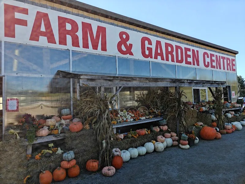 Sandy's Farm farmers market in Richmond Hill, ON