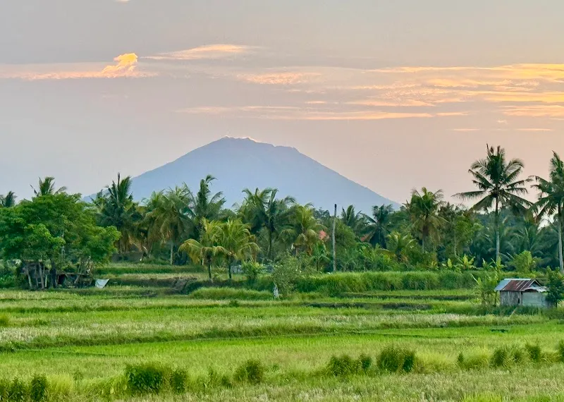 Sari Organic Walk hiking area in Klungkung, Bali