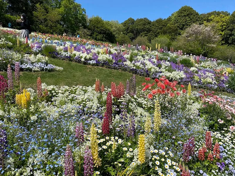 Satoyama Garden park in Asahi, Kanagawa