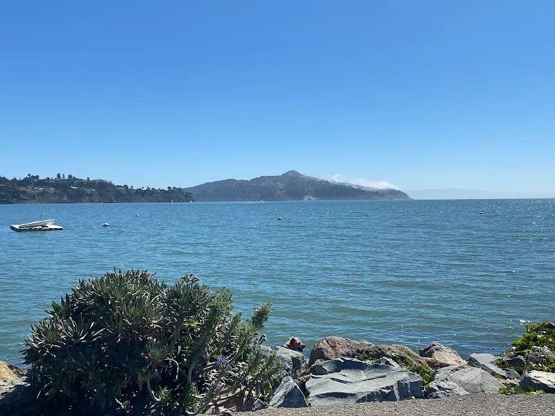 Sausalito Boardwalk tourist attraction in Sausalito, CA