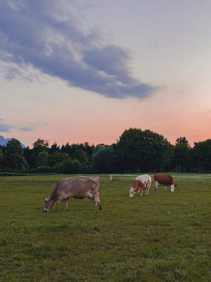 Schlagerbauer, Stefanie und Gerhard Hatheier real estate agency in Plainfeld, Salzburg
