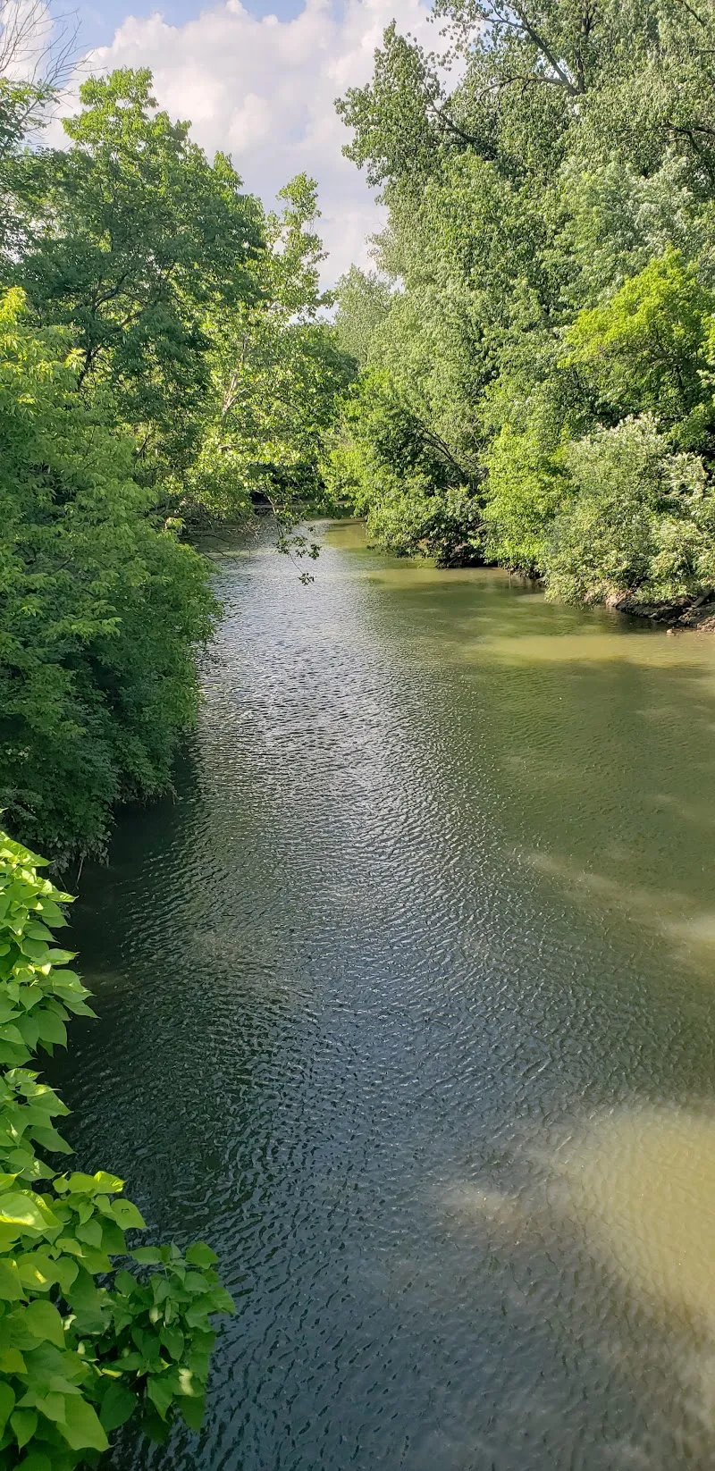 Schneider Park city park in Bexley, OH