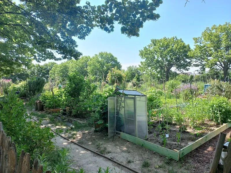 Schrebergarten Family Gardens (Community Allotments) garden in Strebersdorf, VIE