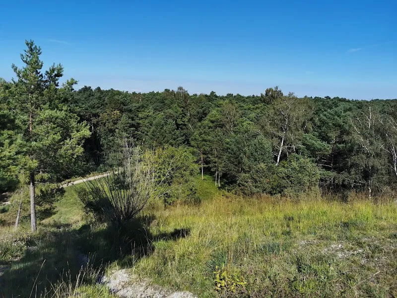 Schwarzhölzl nature preserve in Unterschleißheim, BY