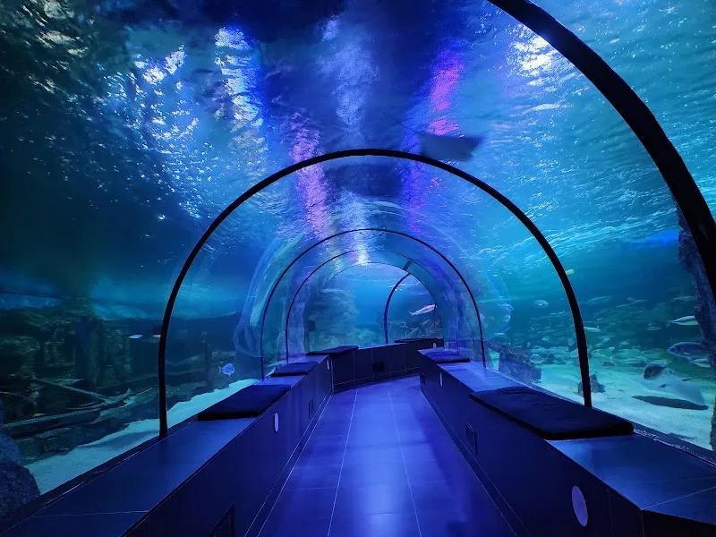 SEA LIFE tourist attraction in Istanbul, IST