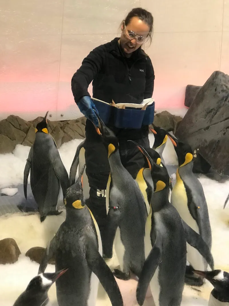 SEA LIFE Melbourne Aquarium aquarium in Melbourne, VIC