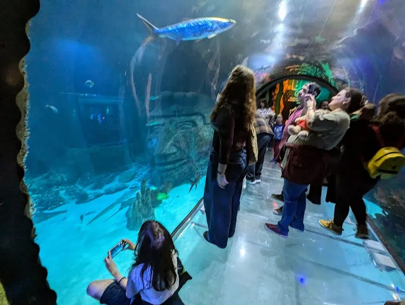 SEA LIFE Orlando Aquarium aquarium in Orlando, FL
