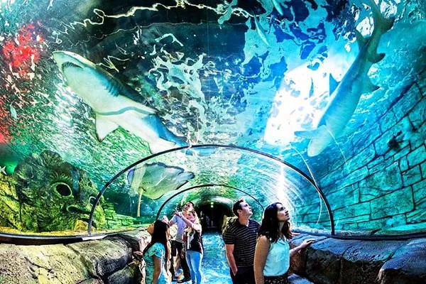 SEA LIFE Sydney Aquarium aquarium in Sydney, NSW