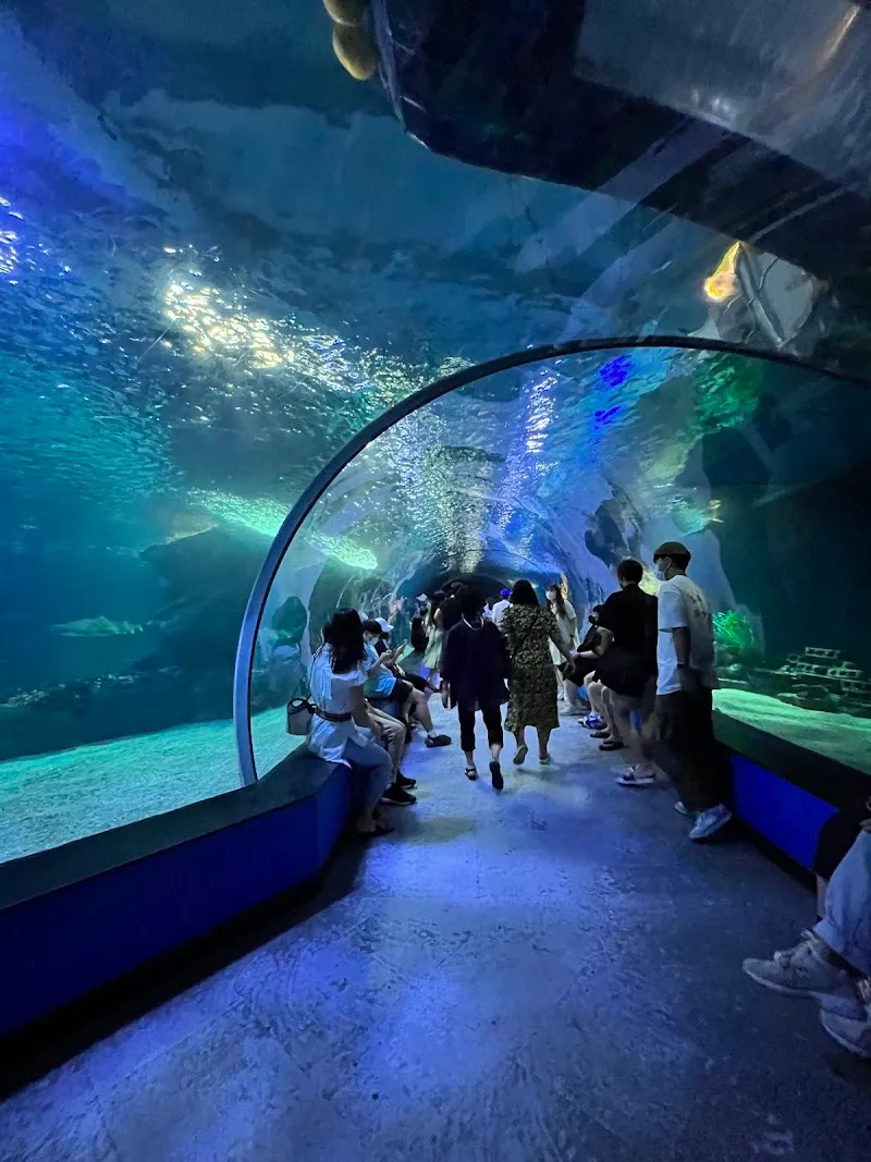 SEALIFE Busan Aquarium aquarium in Busan, BSN