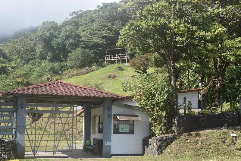Sendero Natural San Isidro nature in San Isidro de Heredia, HD