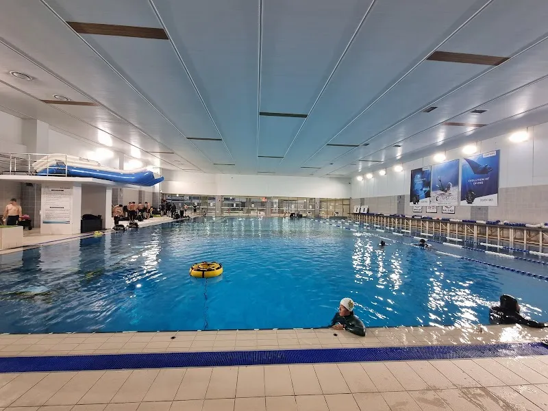 Seongnam Complex Sport Center Swimming Pool (50m) swimming pool in Bundang, GG