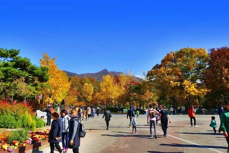 Seoul Grand Park tourist attraction in Gwacheon, GG