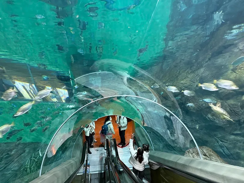 Shanghai Ocean Aquarium aquarium in Shanghai, SH