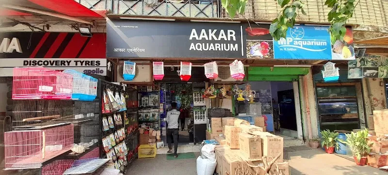 Sharma Aquarium aquarium in Borivali, MH