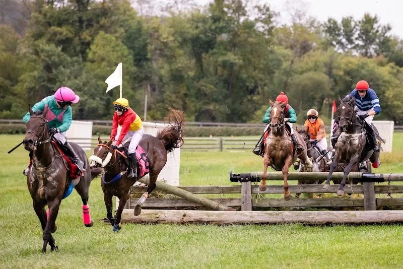 Shawan Downs race course in Cockeysville, MD