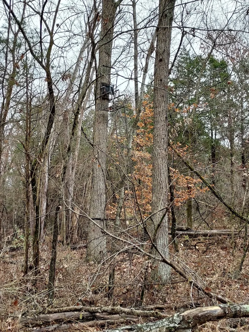 Shelby Trails Park hiking area in Shelbyville, KY