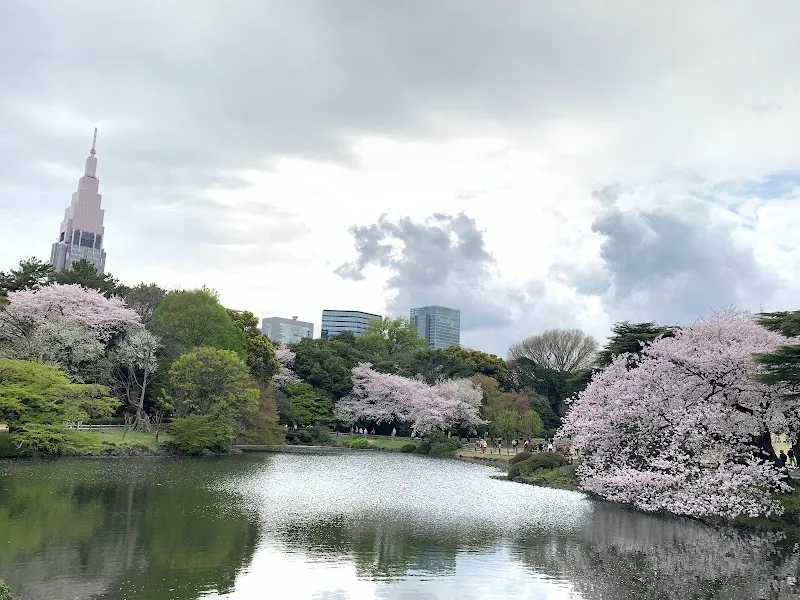 Shinjuku Gyoen National Garden garden in Tokyo, TK