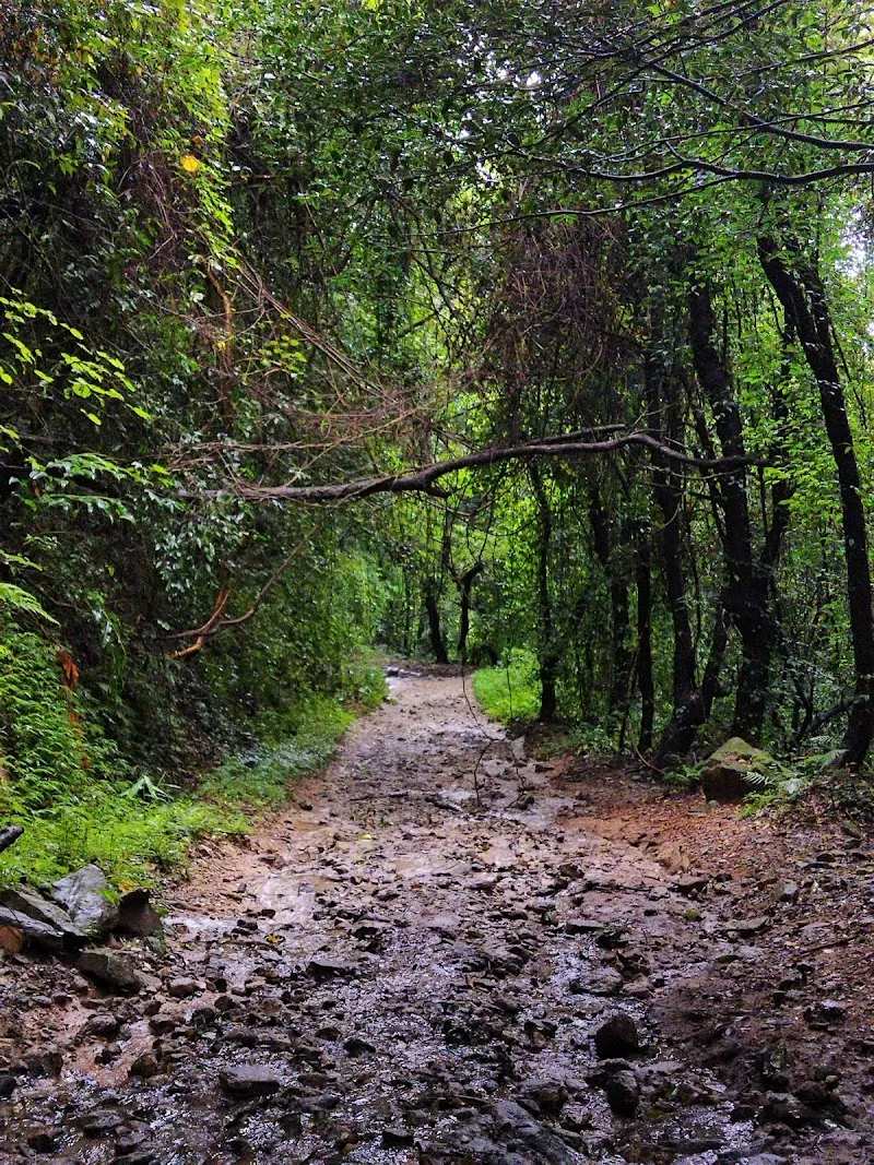 Shivapuri Nagarjun National Park,HQ national park in Budhanilkantha, Bagmati