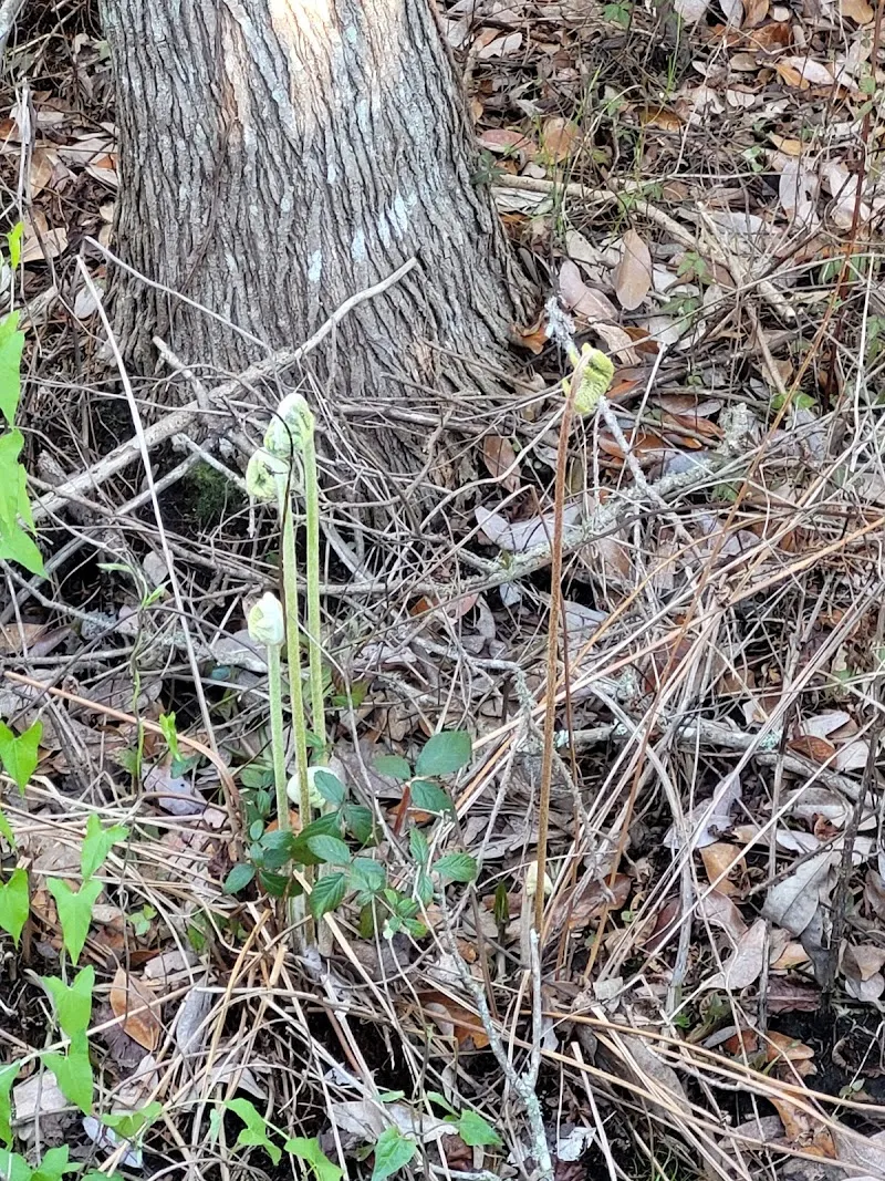Shoreline Park route in Gulf Breeze, FL