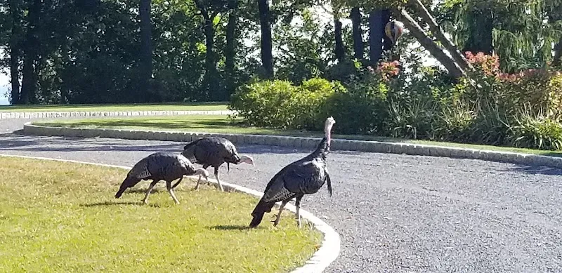 Shorewood Recreation & Community Services community center in Shorewood, WI