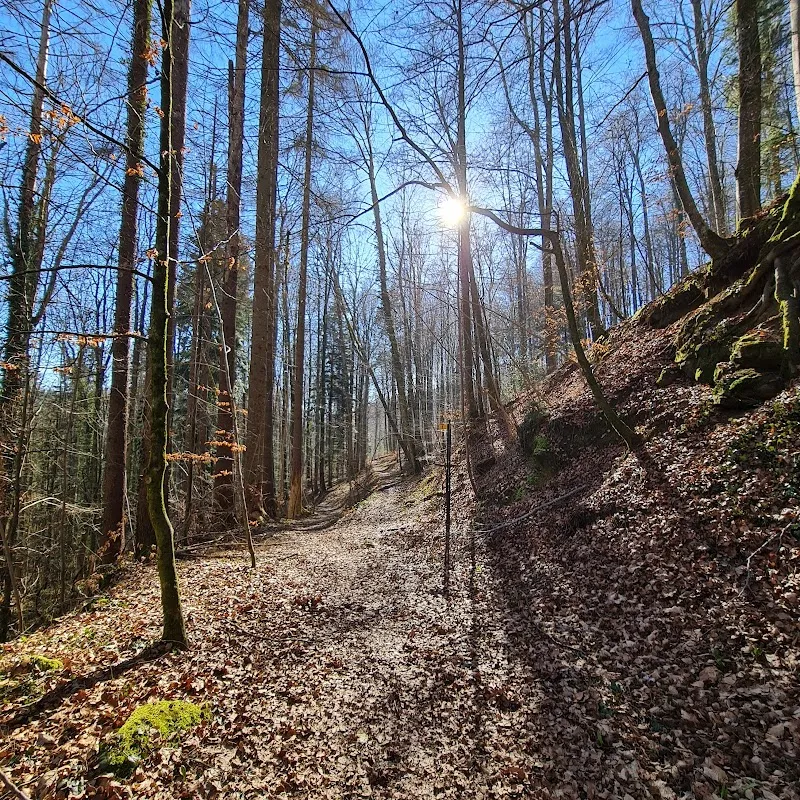 Sihlwald nature preserve in Horgen, ZH
