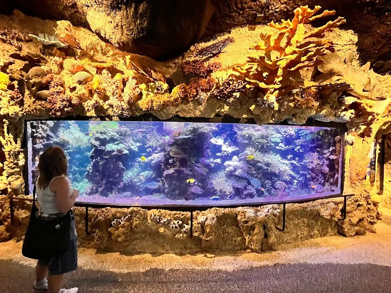 Skansen Aquarium zoo in Stockholm, STK